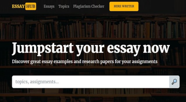 review ESSAYHUB.NET