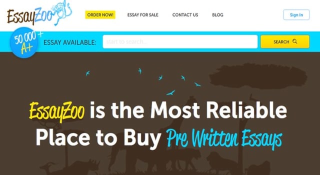 review ESSAYZOO
