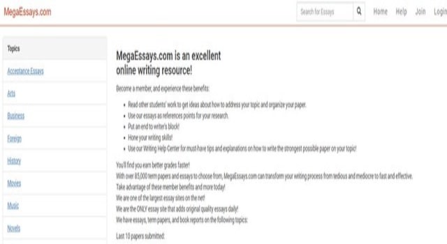review MEGAESSAYS